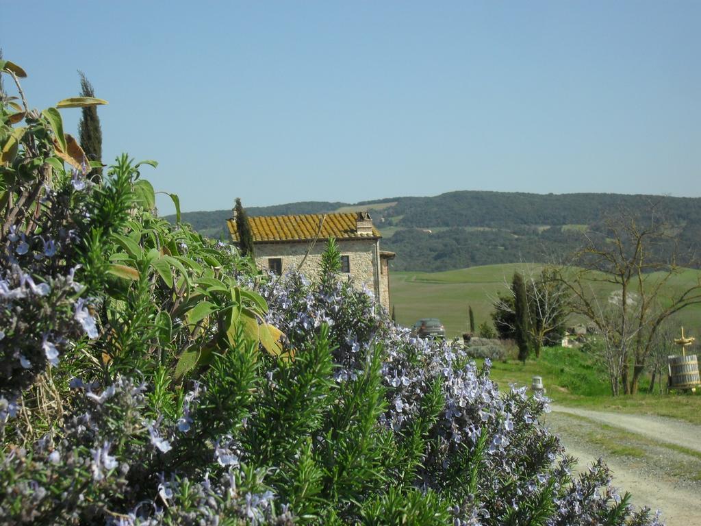 Agriturismo Podere Campaini Volterra Extérieur photo