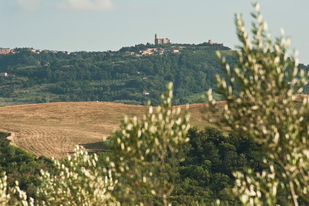 Agriturismo Podere Campaini Volterra Extérieur photo